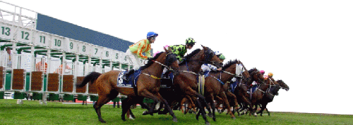 Horse Racing Handicap