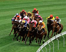 Horse Race Betting